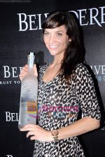 at Belvedere Vodka launch in Tote on 3rd May 2011 (13).JPG